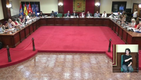 Pleno 25 de junio de 2026